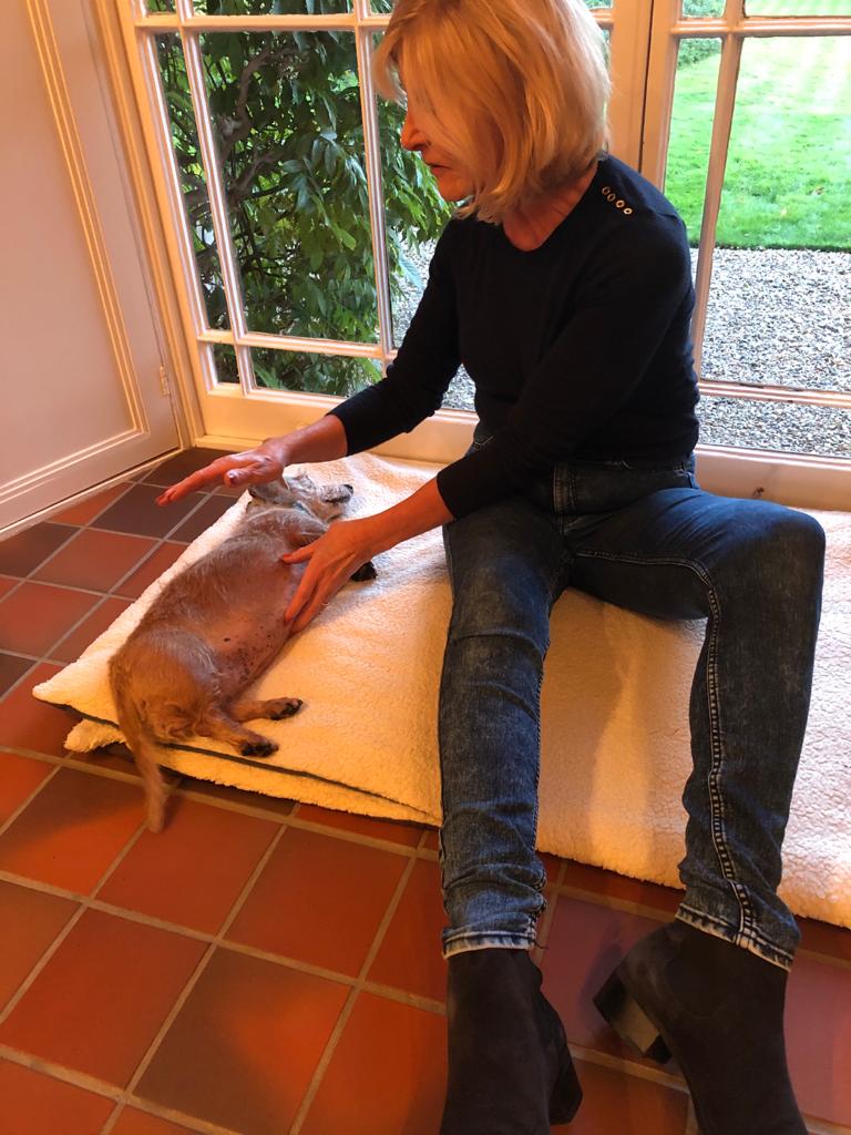 Sally administrating animal healing